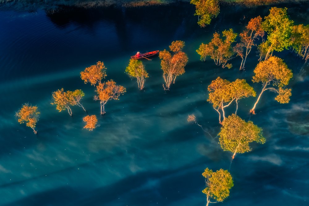 Photograph by Lê Huy Anh