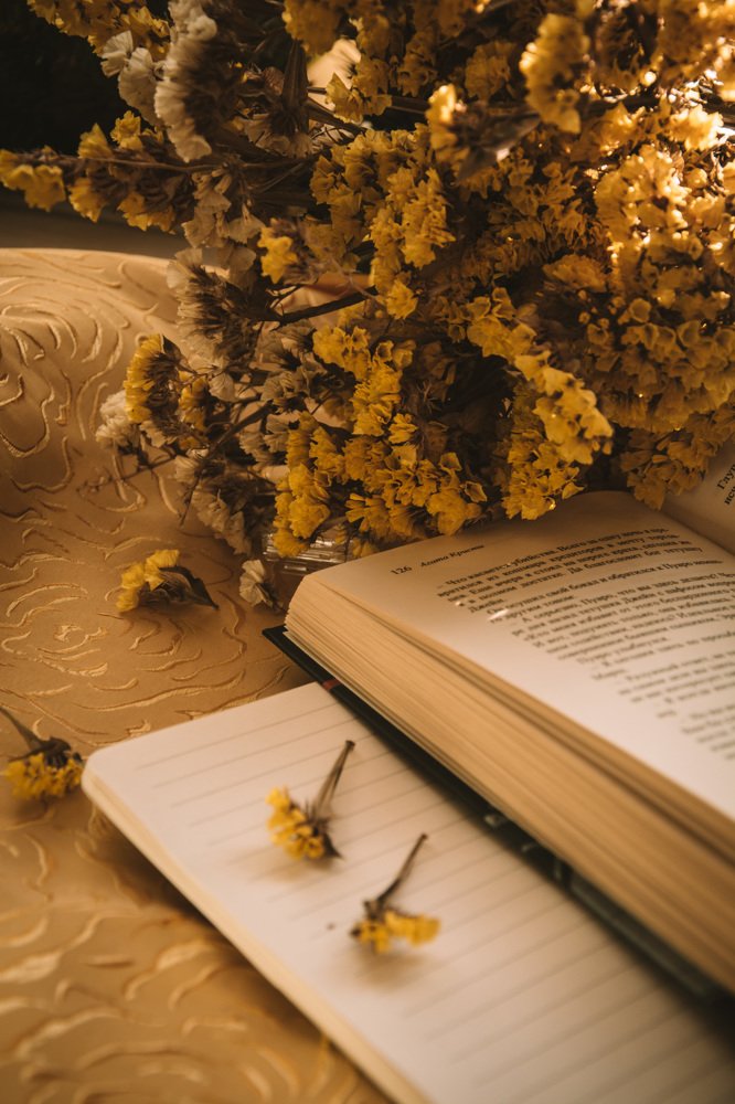 Photograph by Мария Неустроева