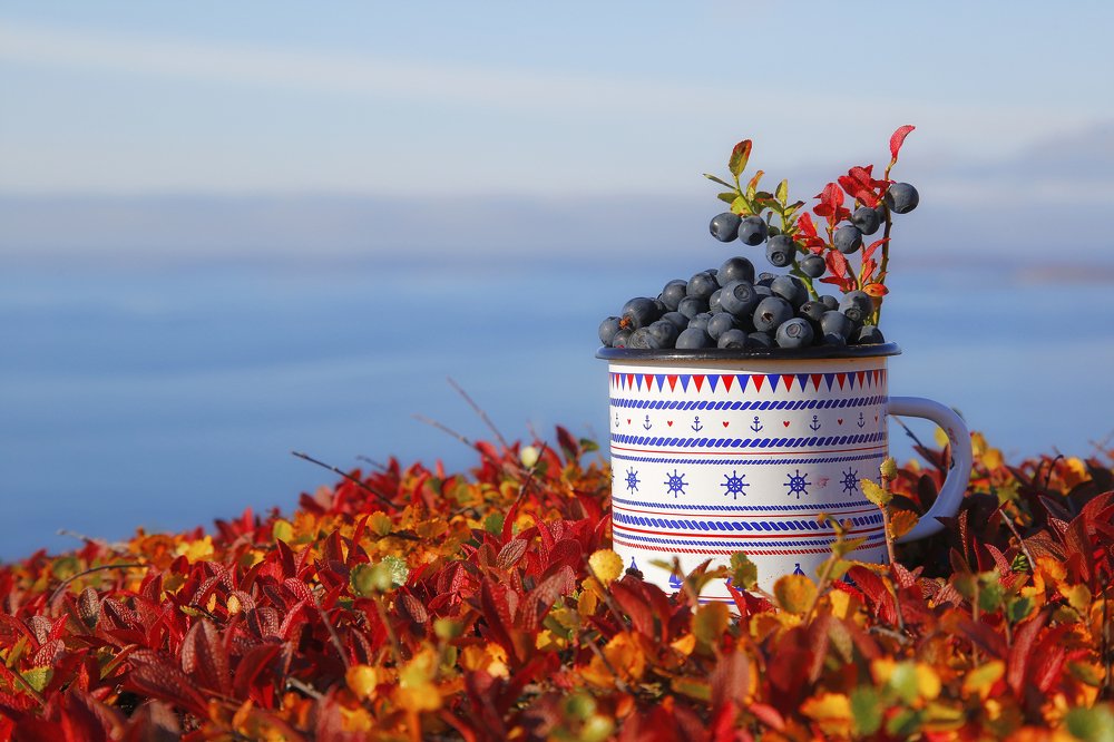 Сладкий сентябрь