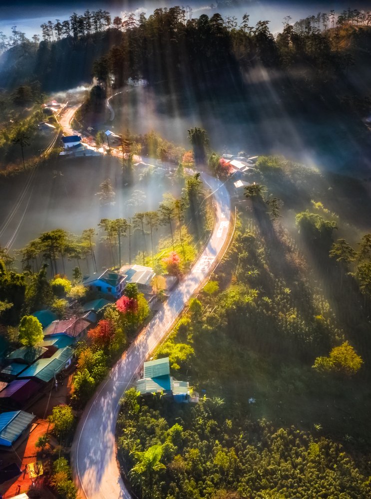 Photograph by Lê Huy Anh