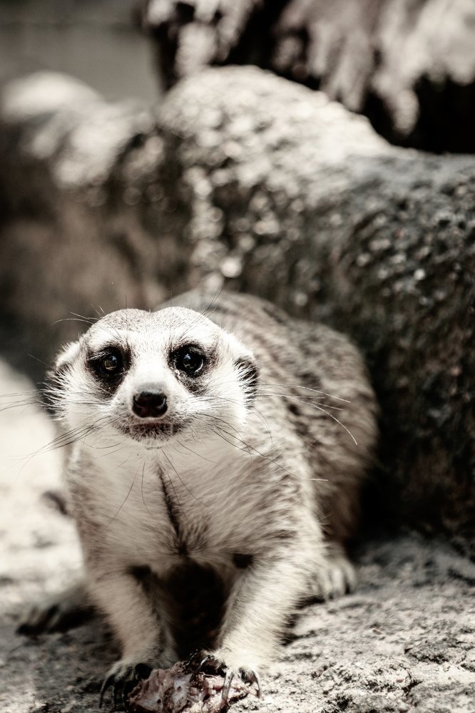 Photograph by Алексей Сухачев