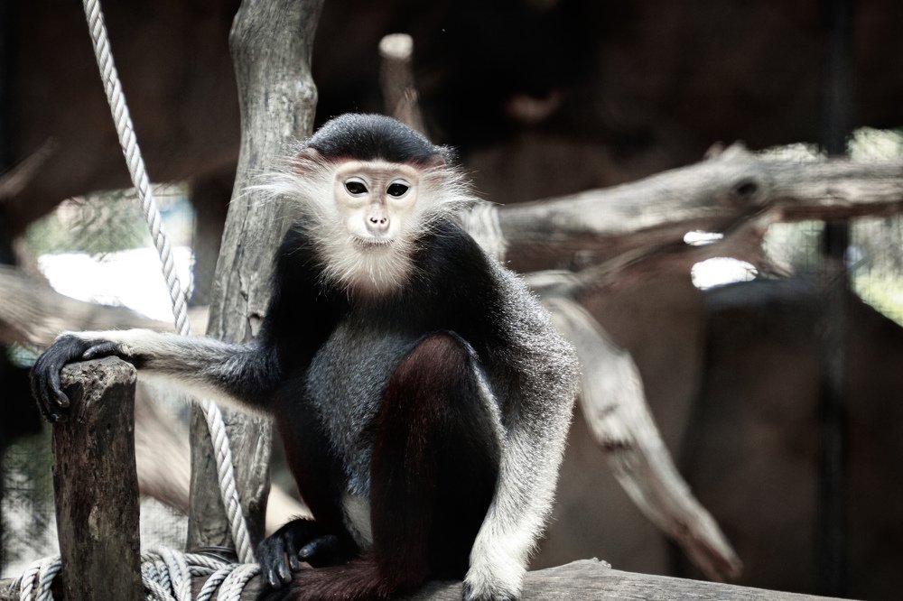 Photograph by Алексей Сухачев