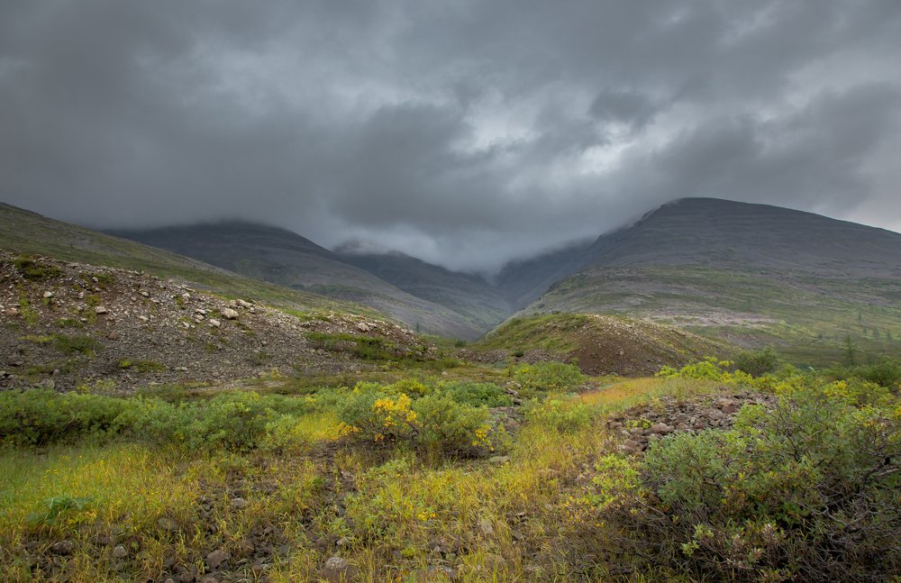 Photograph by Сергей Самойлов