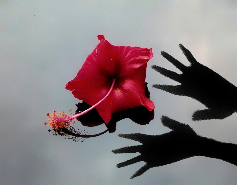 Photograph by Shamsuzzaman Akash