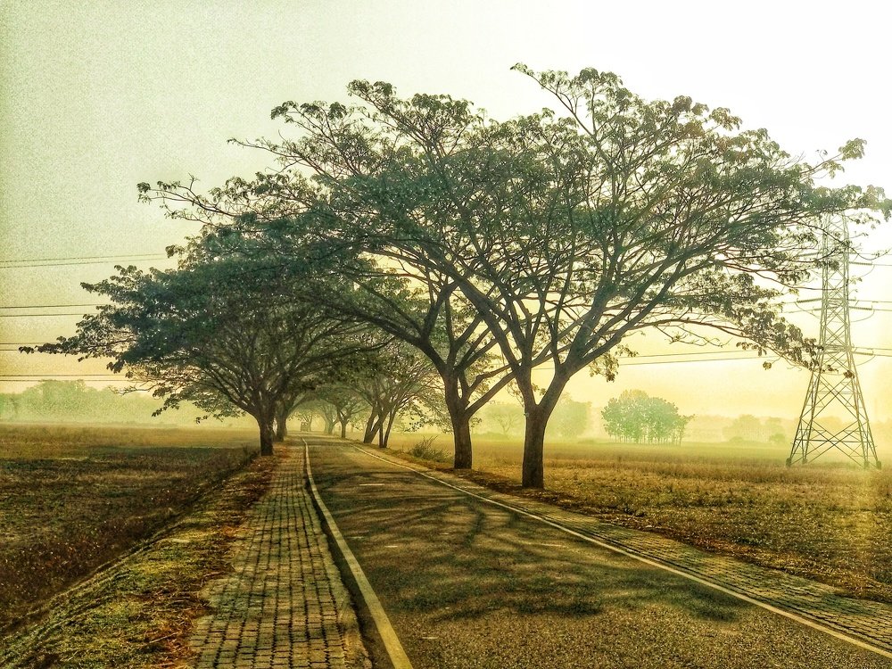 Connection of lifeline