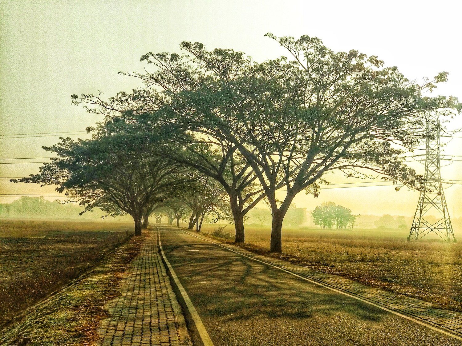 Connection of lifeline