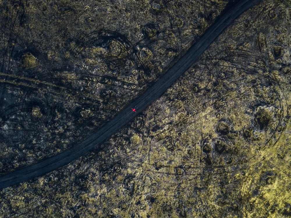 Photograph by Елена Верещака