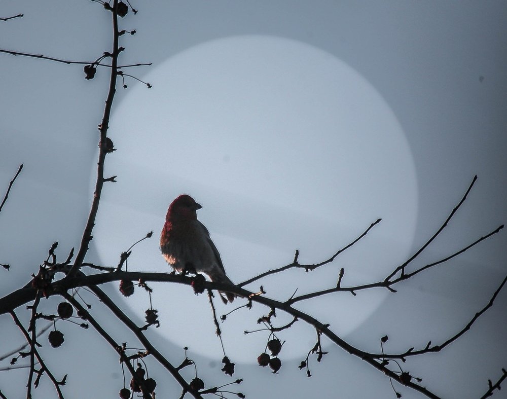 Photograph by Роман Павлов