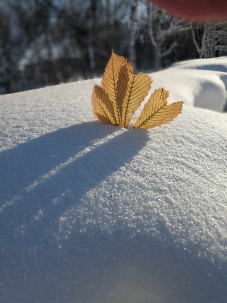 Photograph by Lilia Hromova