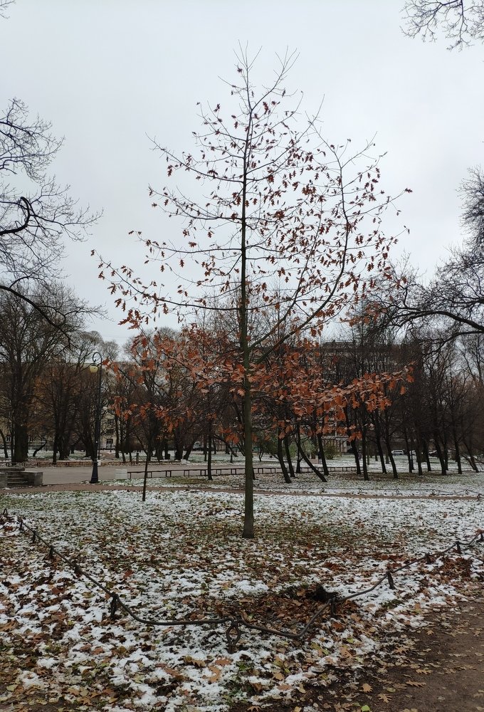 Осень не сдаётся
