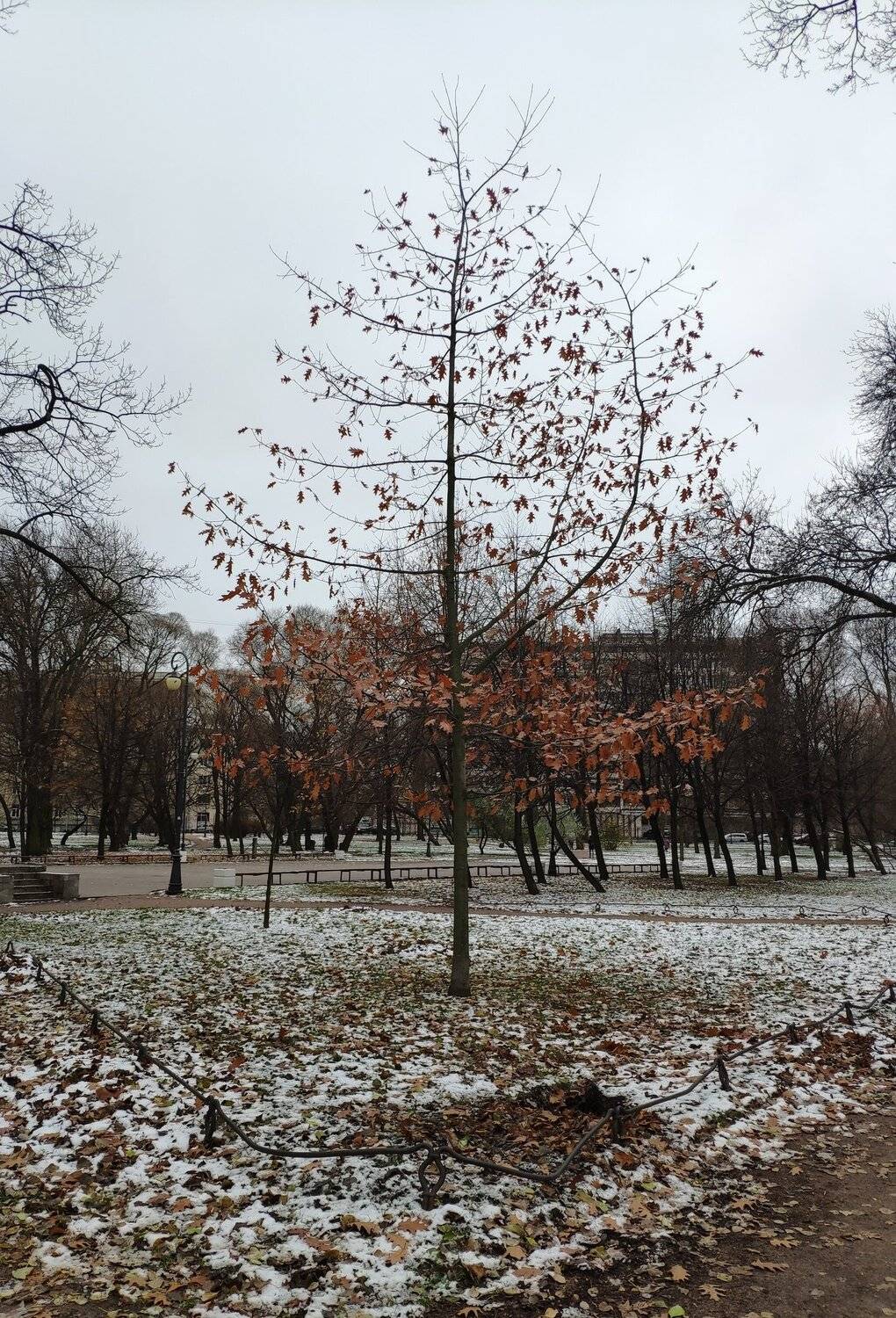 Осень не сдаётся