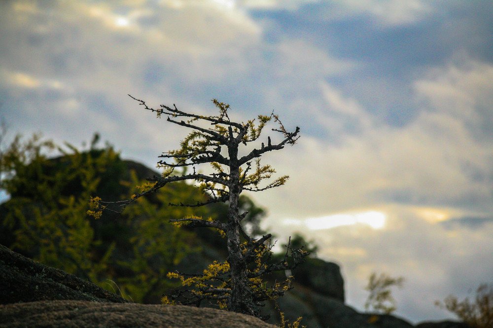 Photograph by Андрей Беспалов