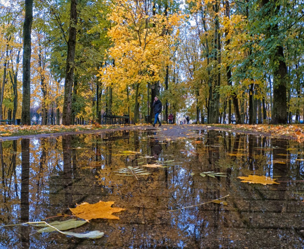 Photograph by Алексей Ладей