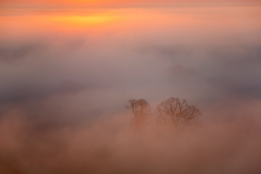 Фотография автора Юрий Сорокин