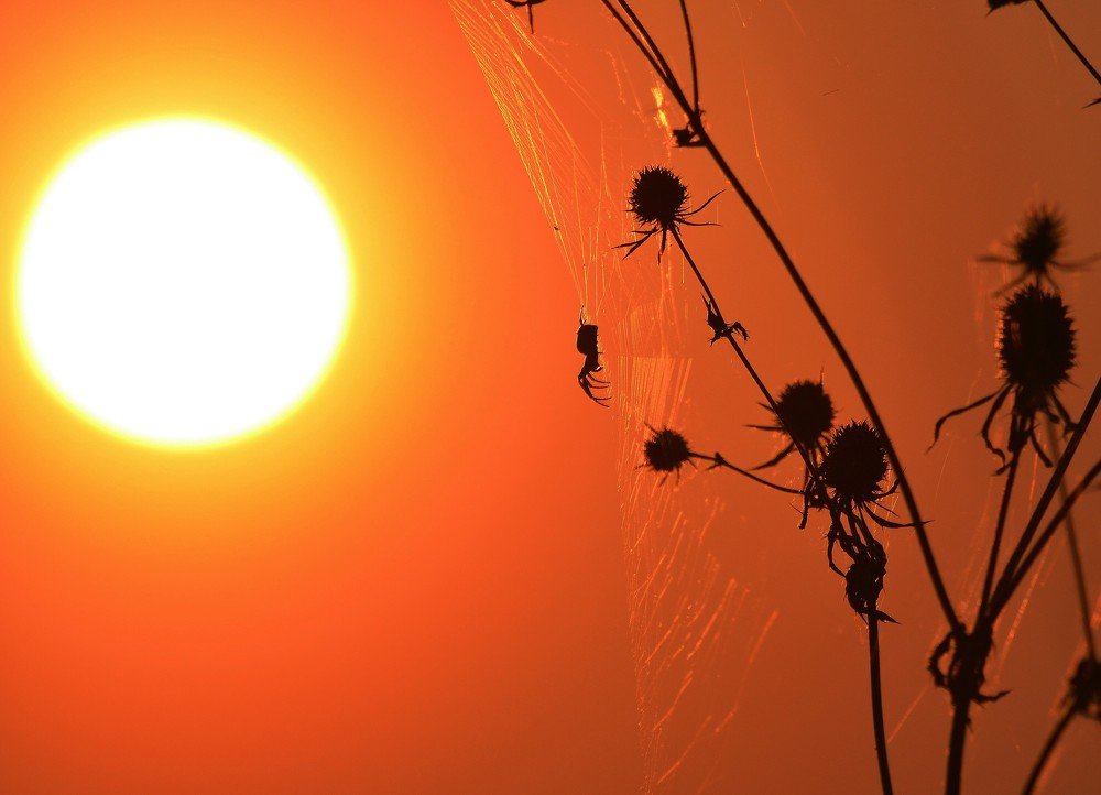 Теплый вечер!