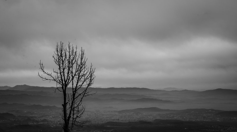 "To see in Color is a delight for the eye but to see in Black & White is a delight for the soul" -Andri Couldwell