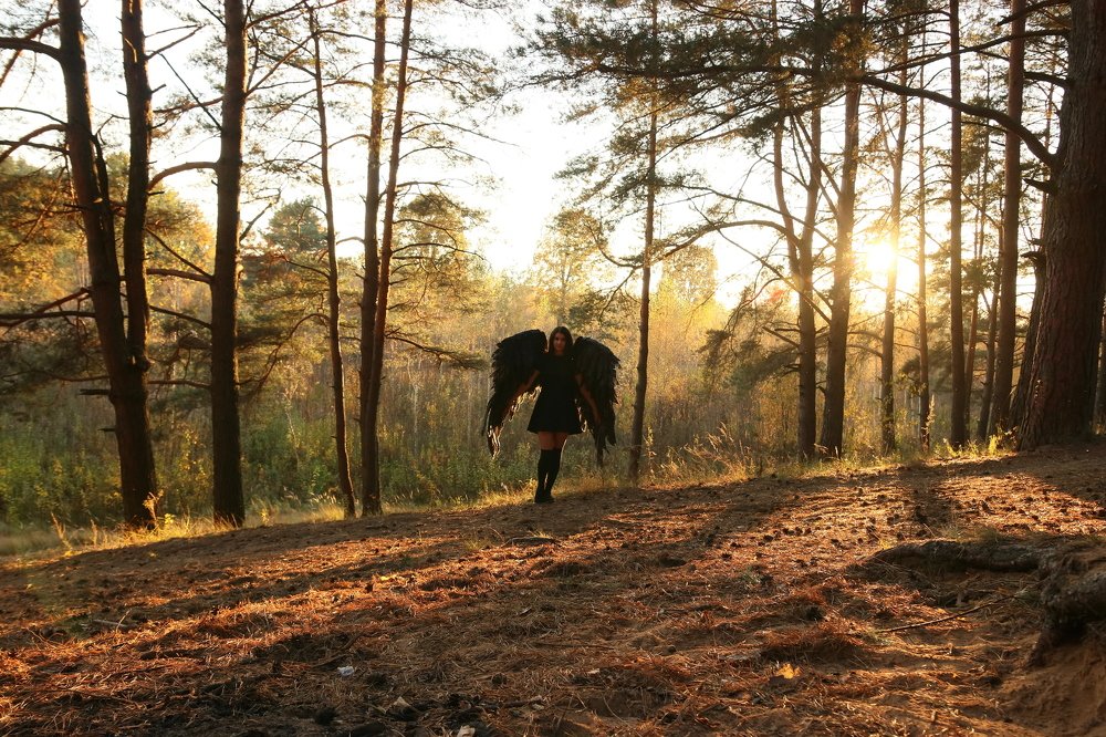 Photograph by Людмила Медведева
