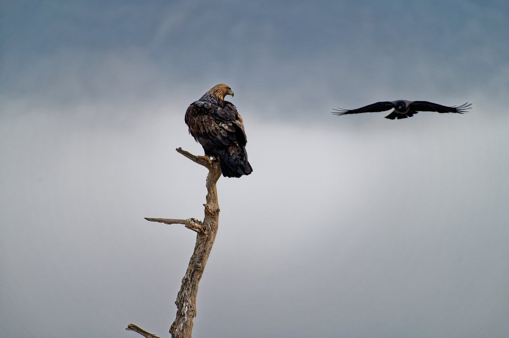 Photograph by Nikolay Hristov