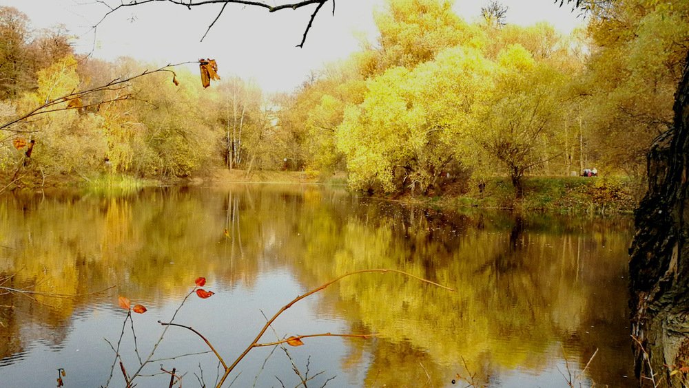 Photograph by Татьяна Куркова
