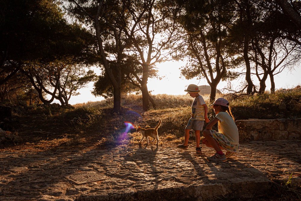 Photograph by Екатерина Шафиева