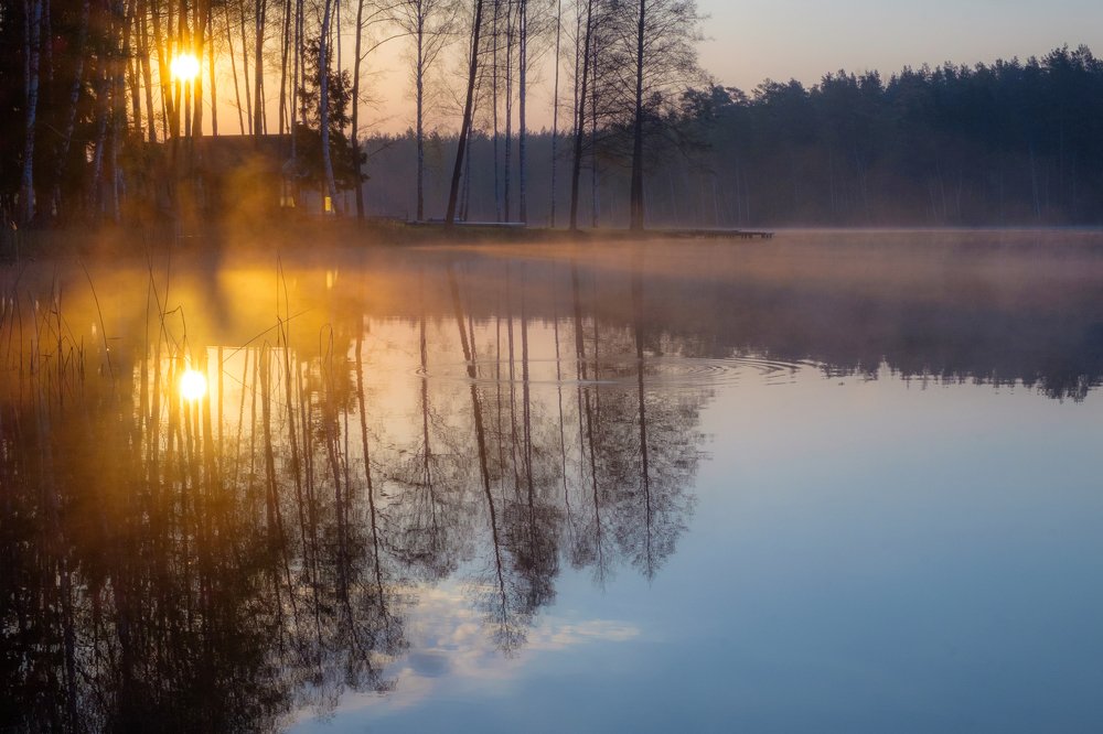 Photograph by Анатолий Асеев