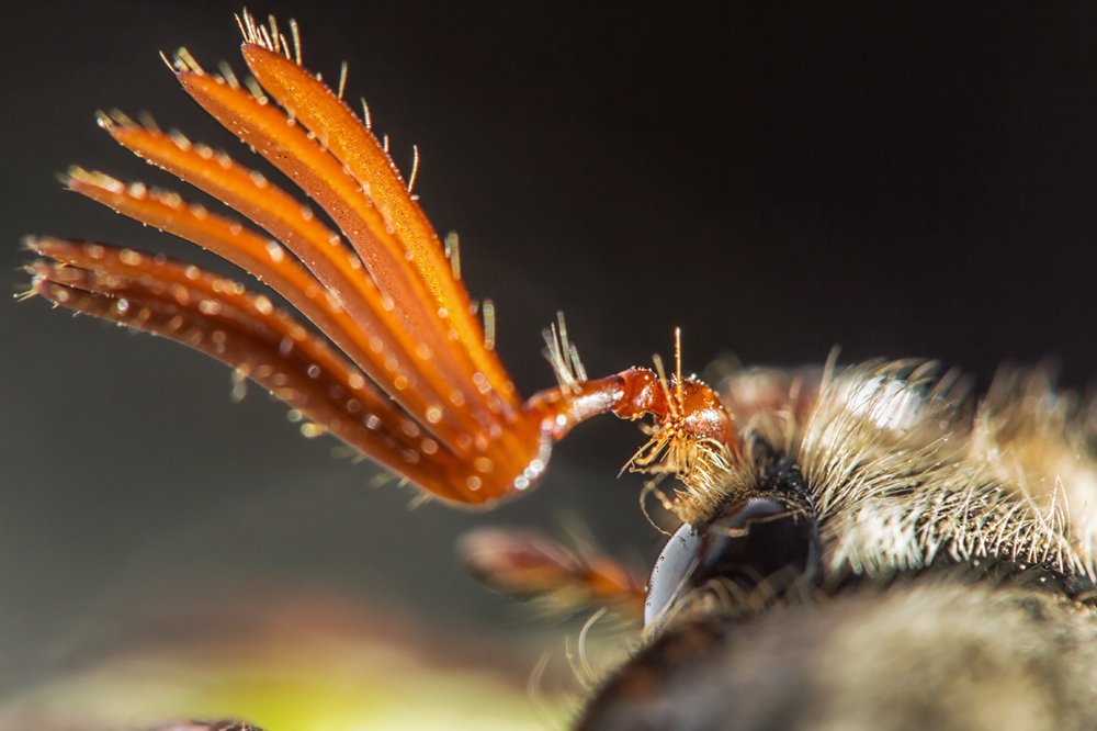 Точка зрения