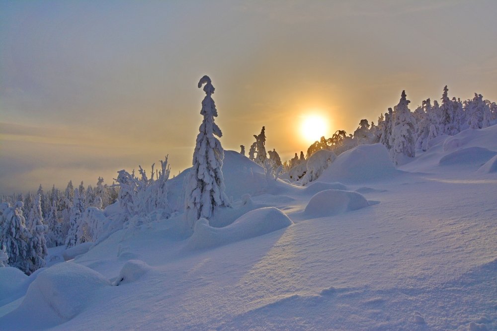 Photograph by Самигулов Хафиз
