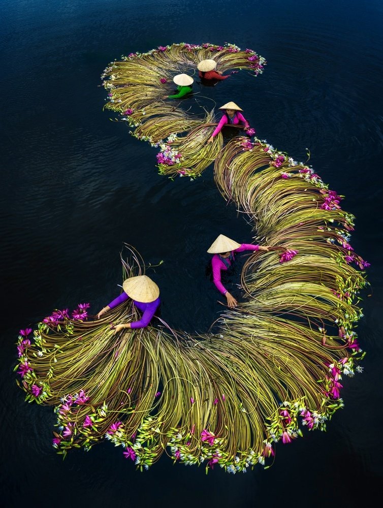 Photograph by Trung Pham Huy