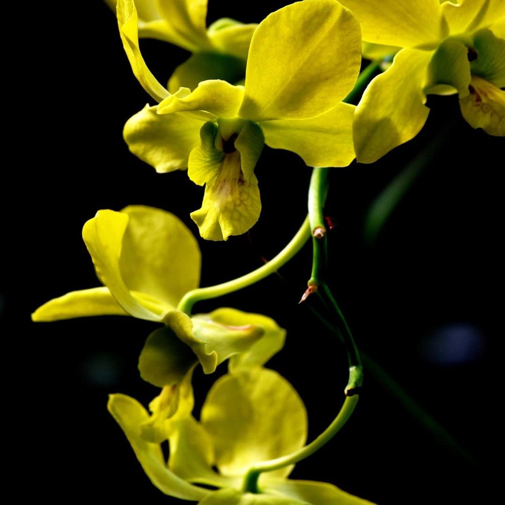 Фотография автора Rajitha Fernando