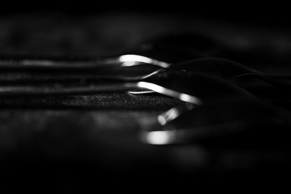 Photograph by Chantelle van Lente-Bosch