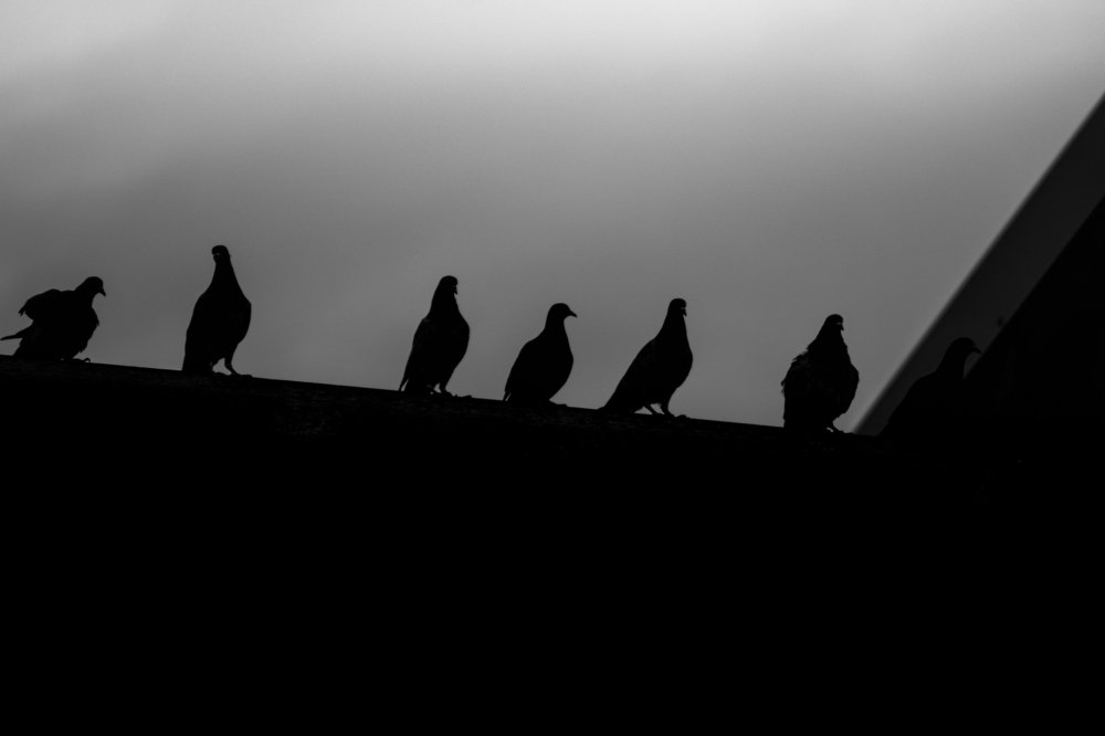 Photograph by Chantelle van Lente-Bosch