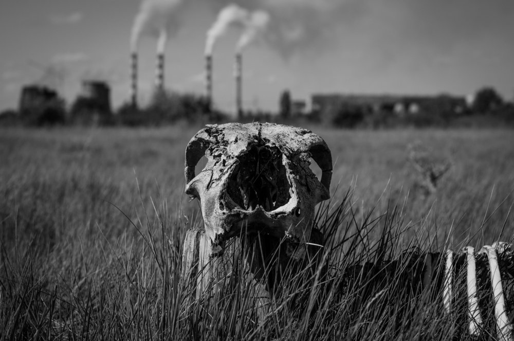 Photograph by Валерий Котов