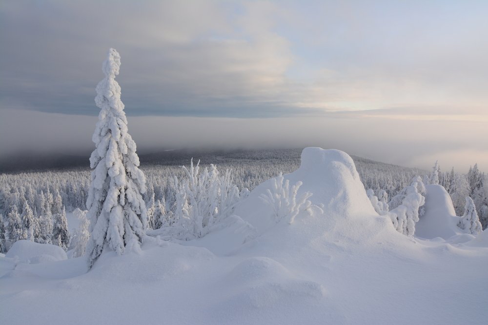 Photograph by Самигулов Хафиз