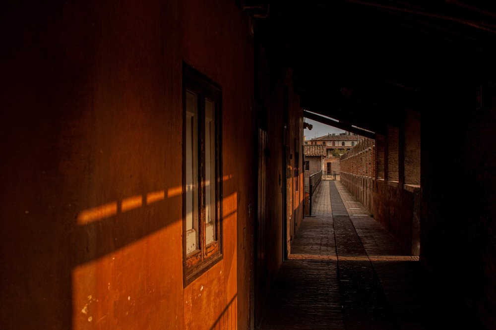 Photograph by Екатерина Шафиева