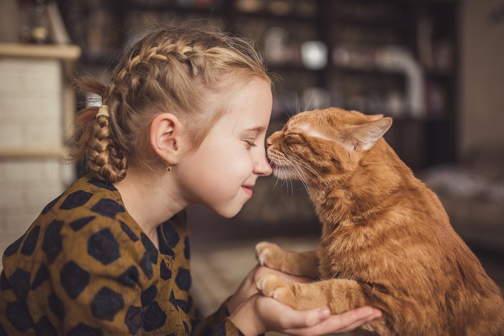 Человек и кошка