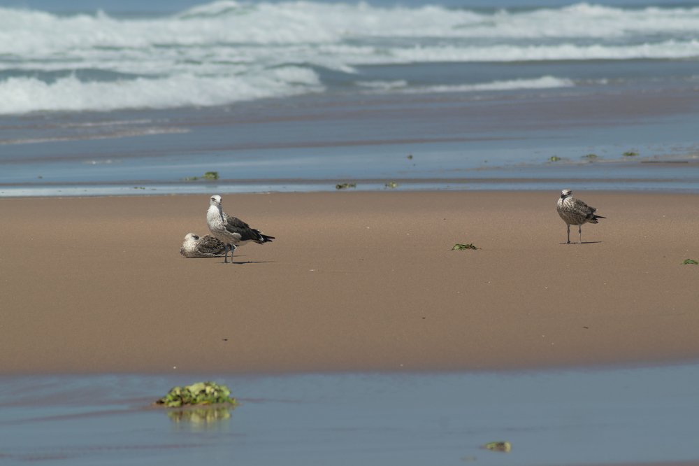 Photograph by Chantelle van Lente-Bosch