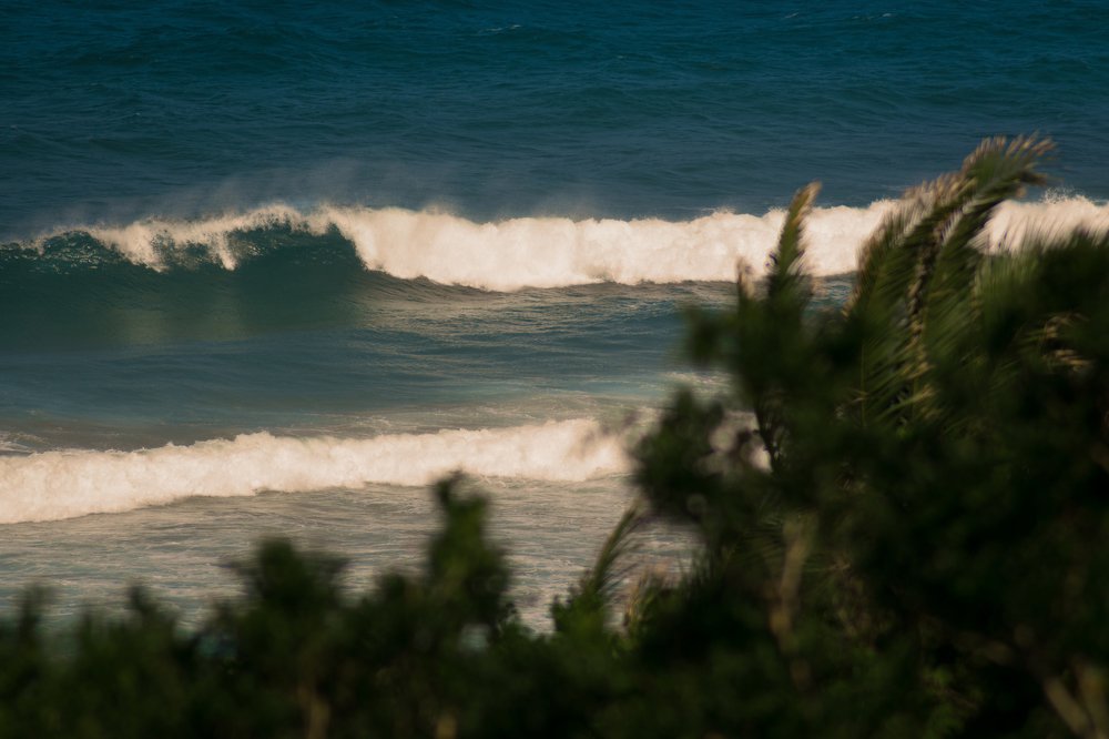 Photograph by Chantelle van Lente-Bosch