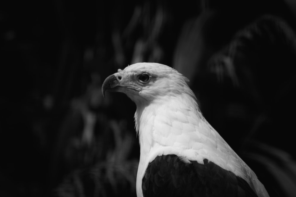 Photograph by Chantelle van Lente-Bosch