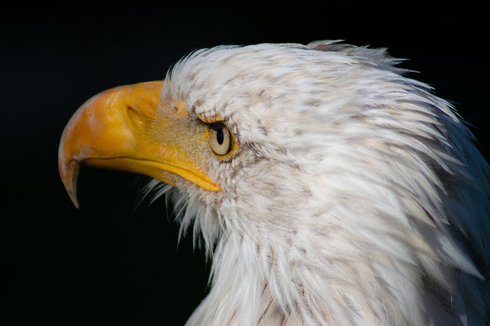 Photograph by Chantelle van Lente-Bosch