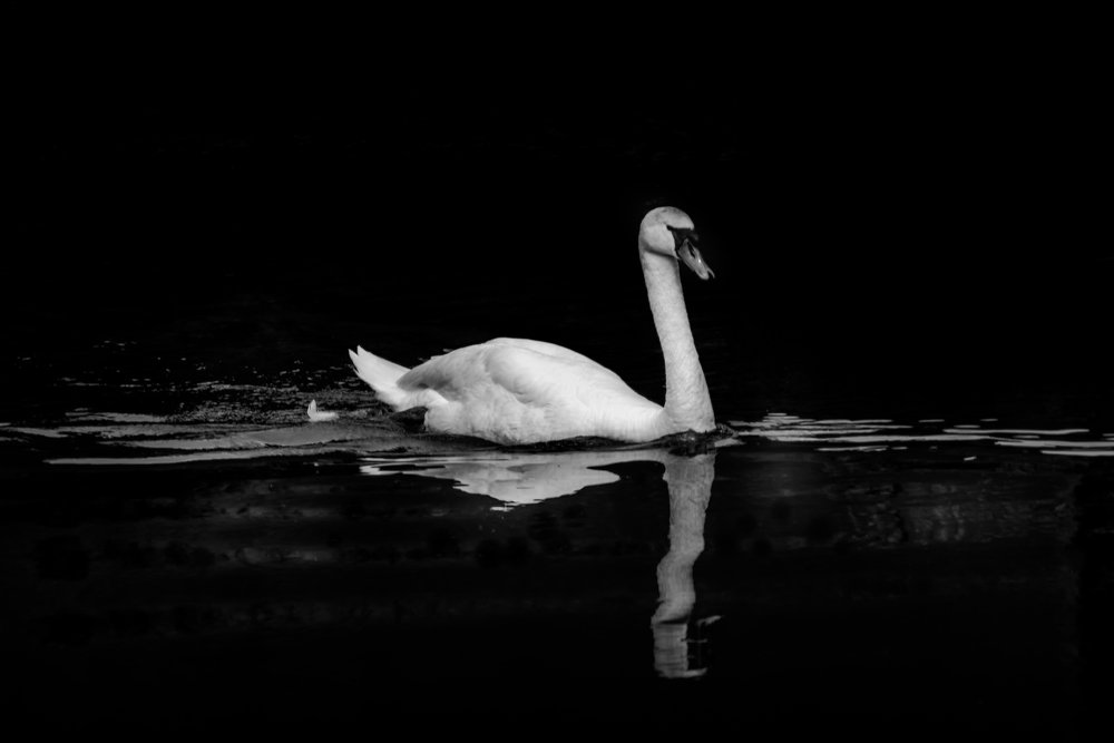 Photograph by Chantelle van Lente-Bosch