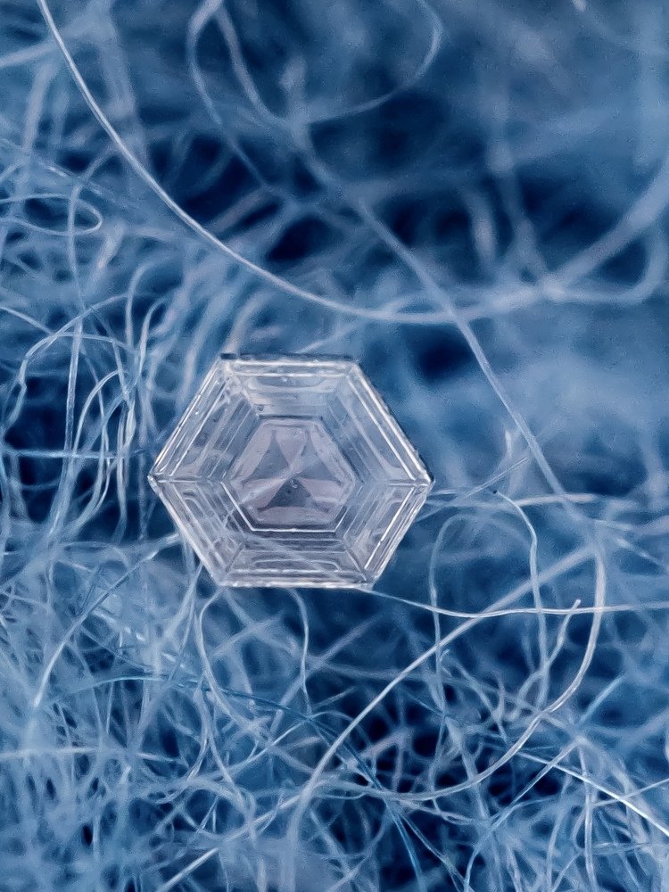 Крик природы