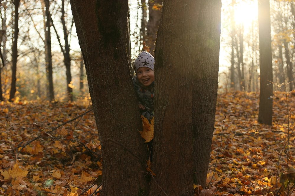 Photograph by Людмила Медведева