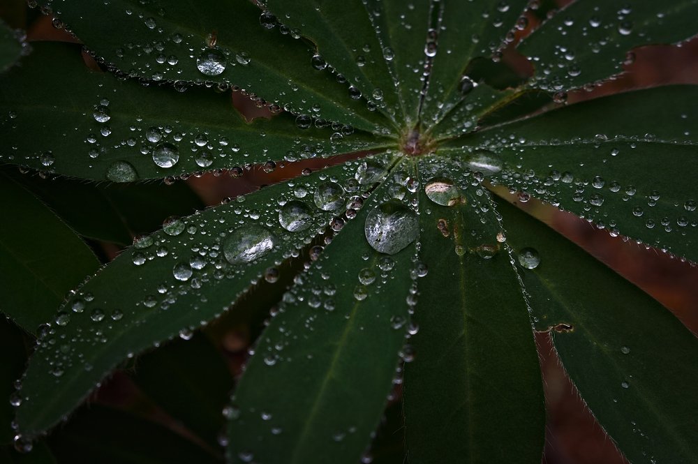 Photograph by Евгений Козлов