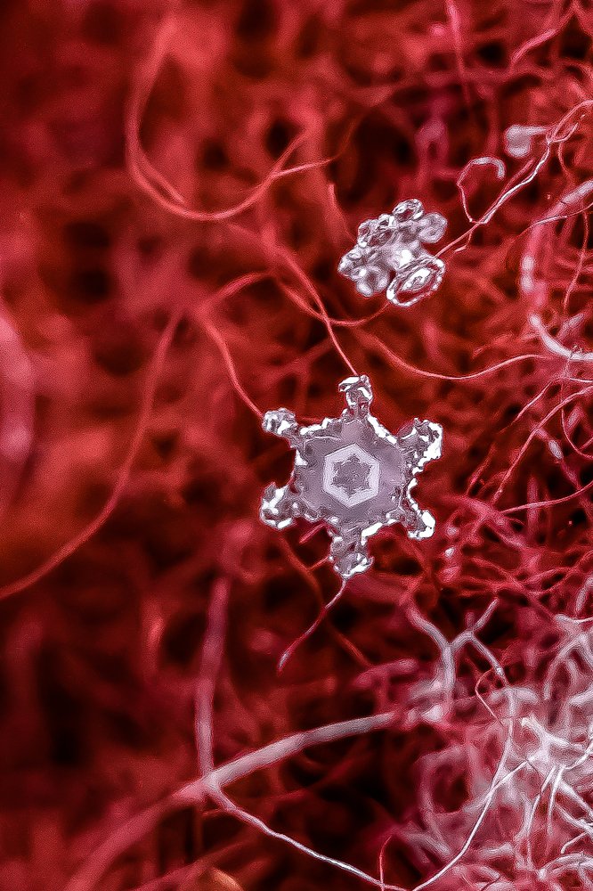 Внутренний мир зимы