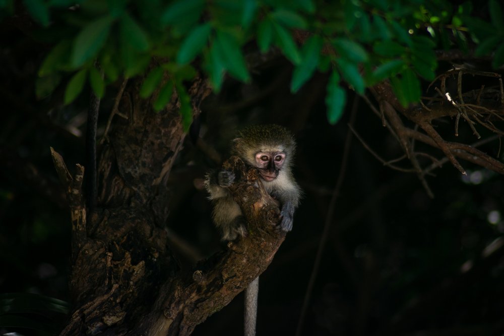 Photograph by Chantelle van Lente-Bosch