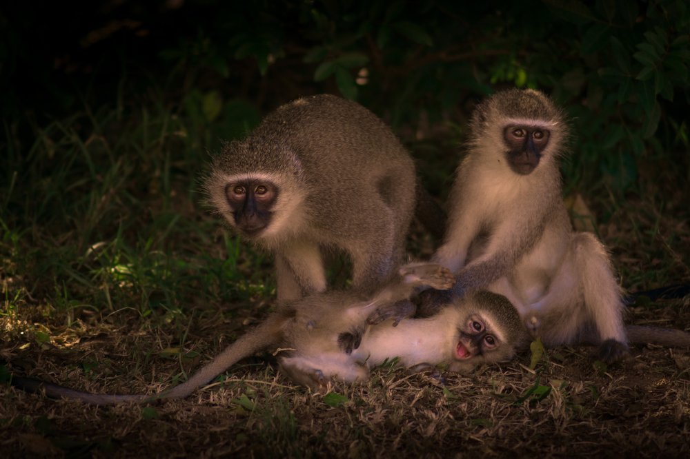 Photograph by Chantelle van Lente-Bosch