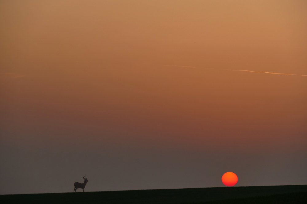 Моравские истории.