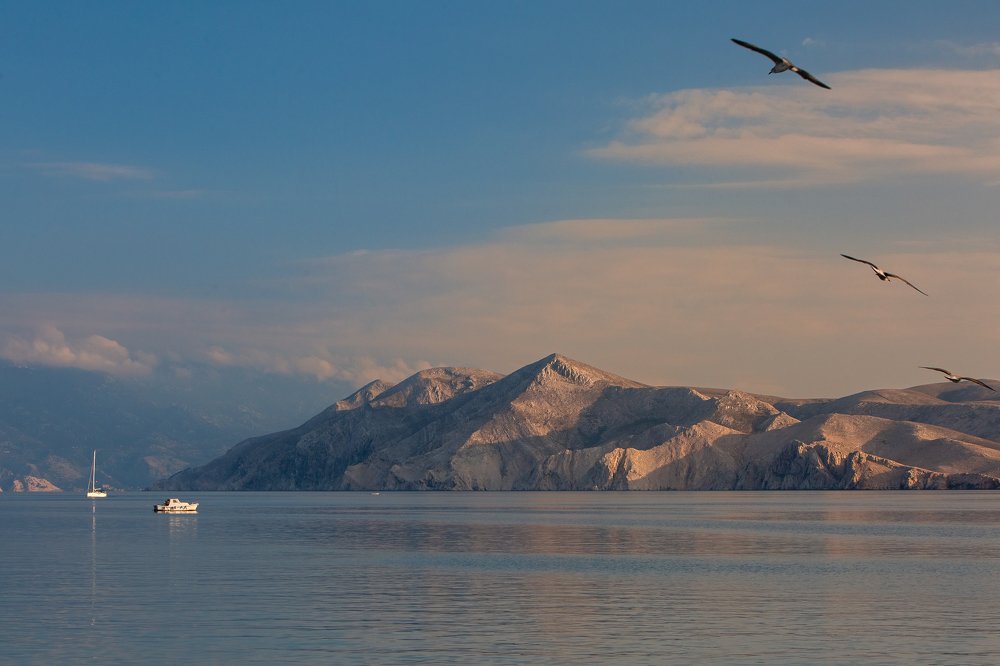 Photograph by Samir Kurtagić