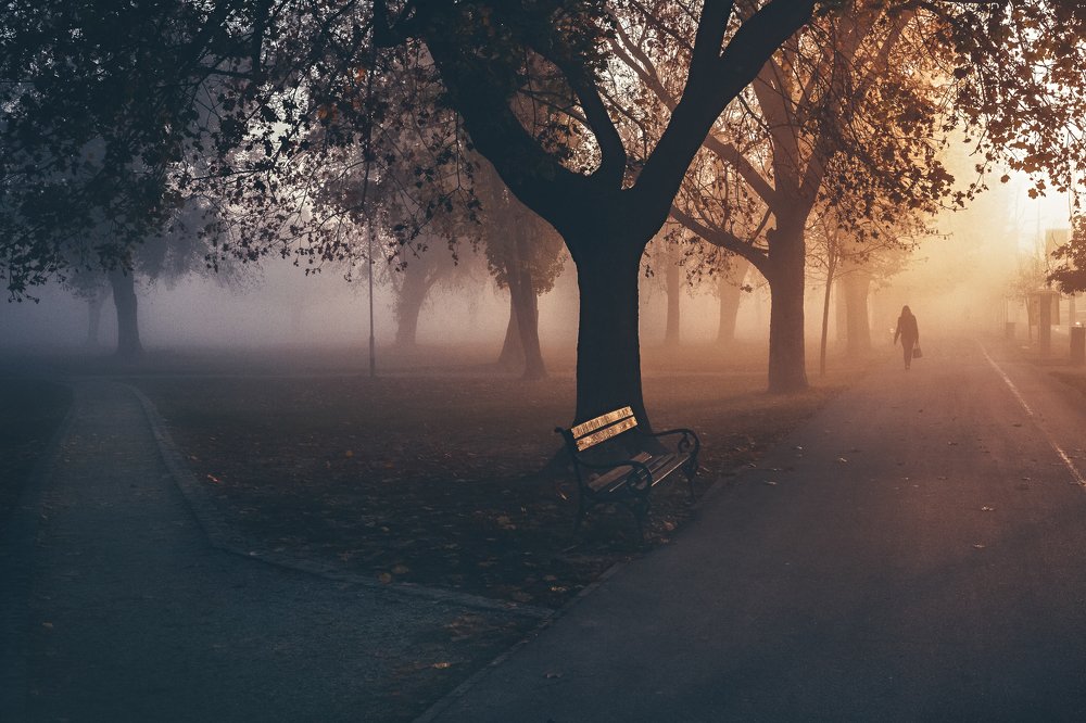 Photograph by Samir Kurtagić