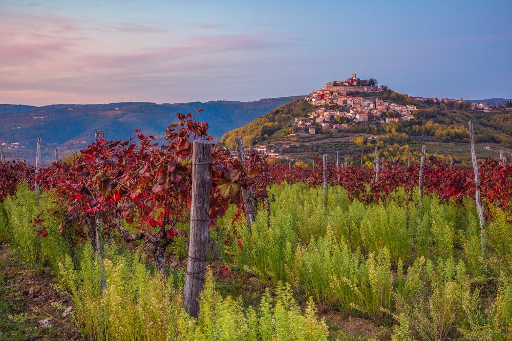 Photograph by Samir Kurtagić